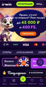 Скачать Ирвин Казино на Android 2